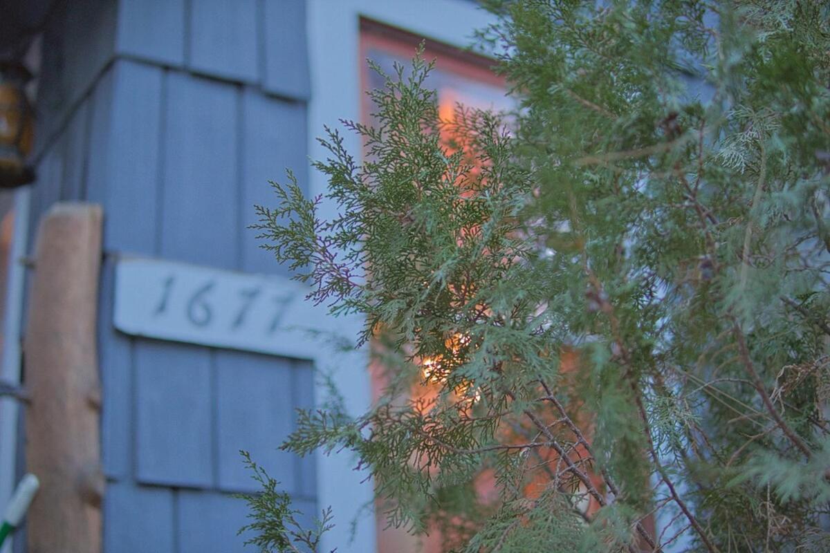Ray'S Dear Cottage Wrightwood Esterno foto