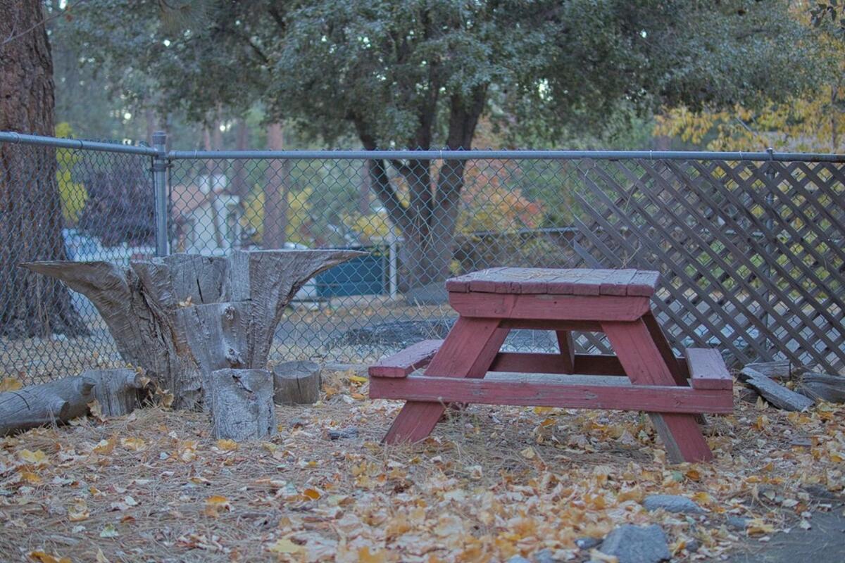 Ray'S Dear Cottage Wrightwood Esterno foto